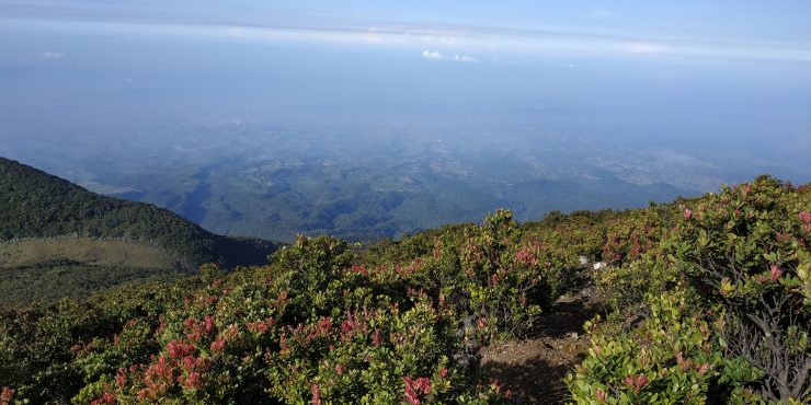 10 Foto Gunung Gede Pangrango Tiket Masuk Dan Objek Wisata